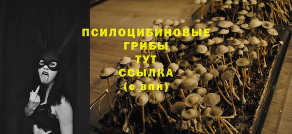 гидра Белоозёрский