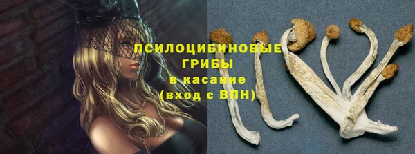 a pvp Белокуриха
