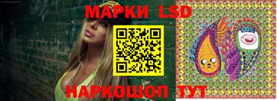 mdpv Брянск