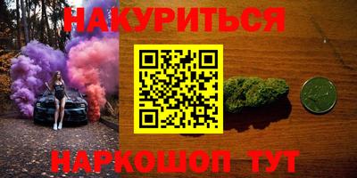 крисы Братск
