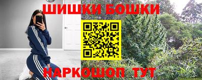 крисы Братск