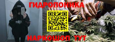 ПСИЛОЦИБИНОВЫЕ ГРИБЫ Боровичи