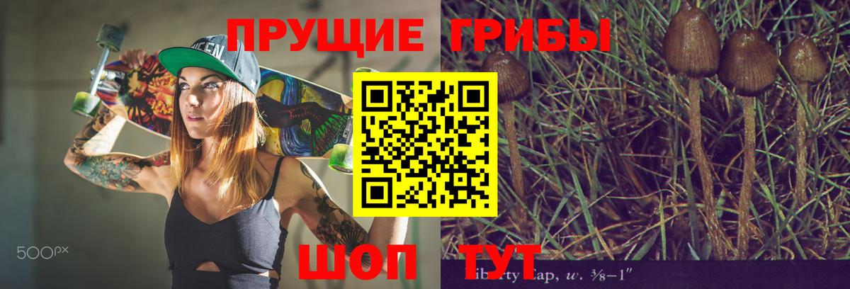 Псилоцибиновые грибы Psilocybine cubensis Бузулук